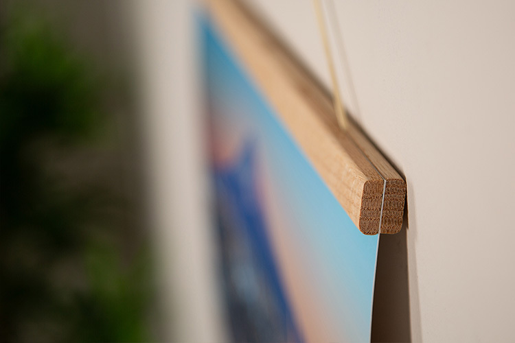 posterleisten-detail.jpg