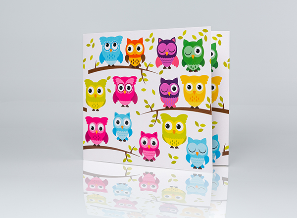 Fotomappe Bunte Eulen